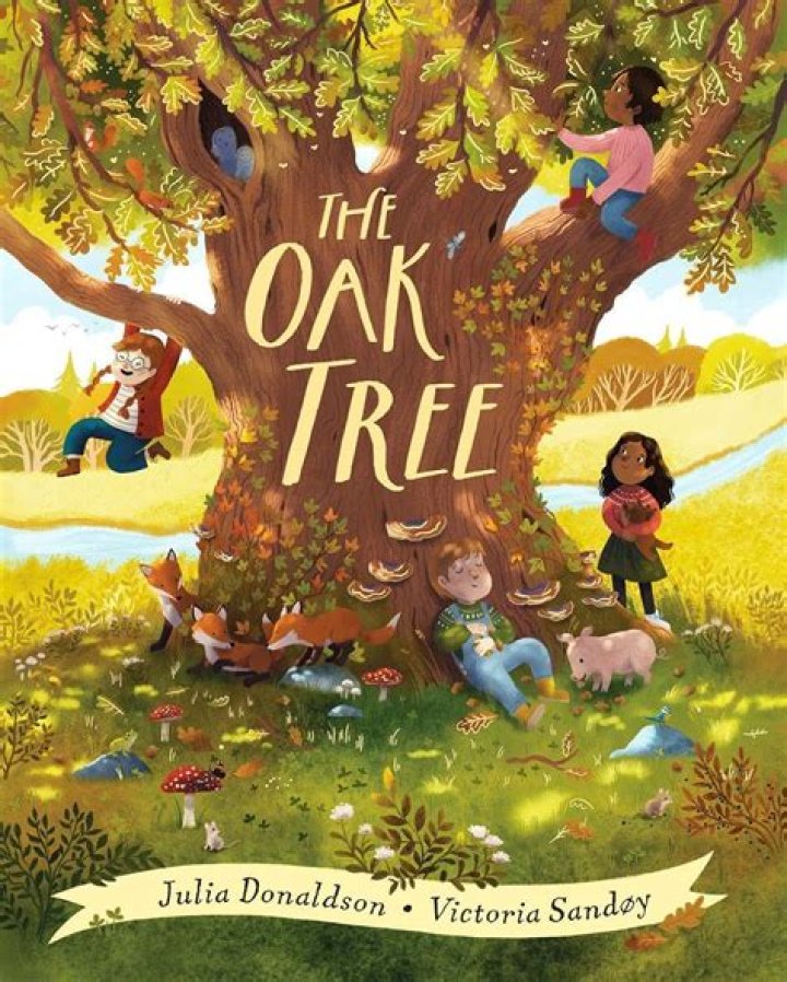 What grows on a oak tree?