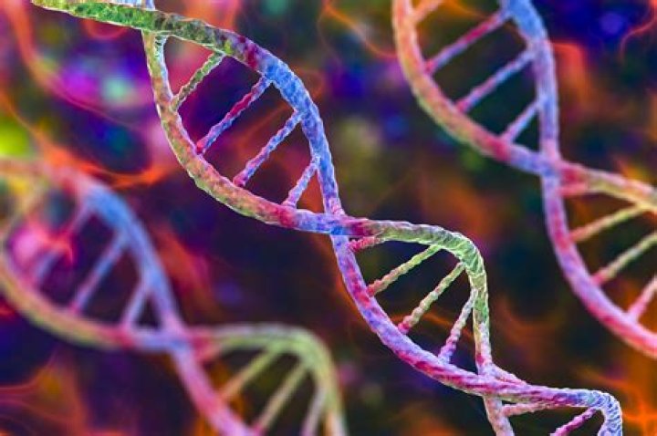 What is a cell genetics?