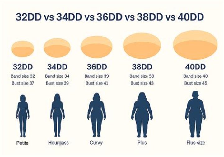 What is a DD 2958?