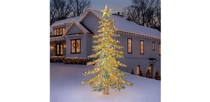 What is a Downswept tree?