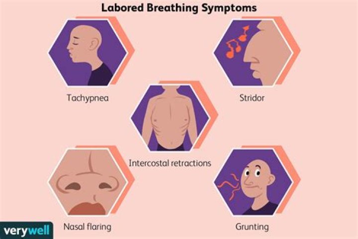 What is difficult or labored breathing called?