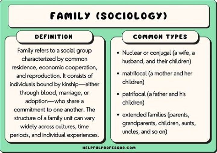 What is family environment psychology?