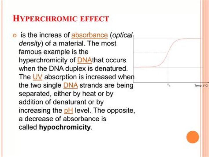 What is Hyperchromic effect of DNA?