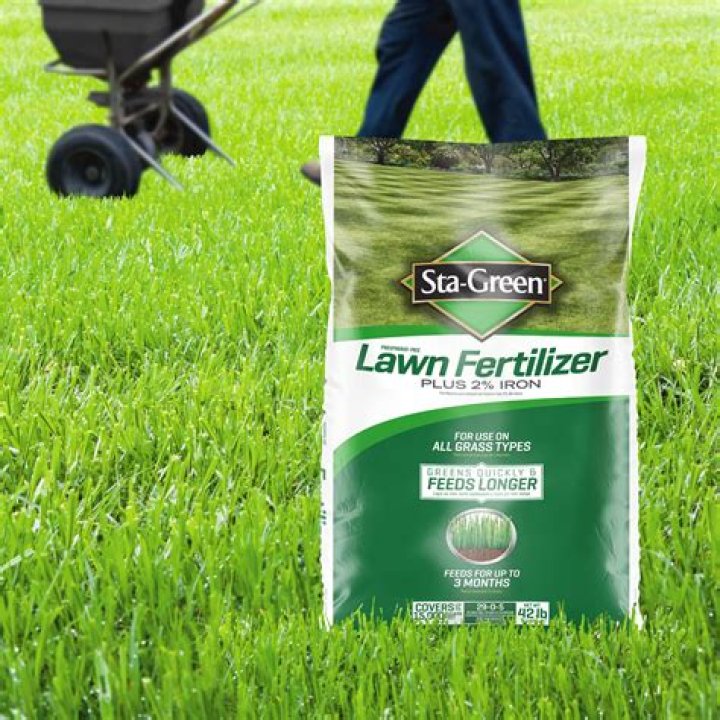 What is lawn starter fertilizer?