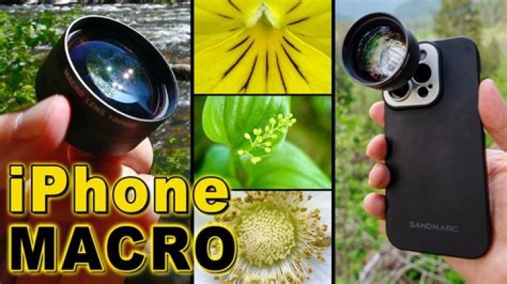 What is macro society?