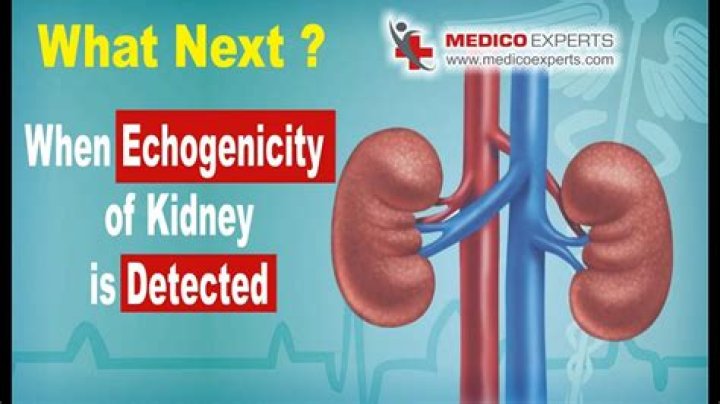 What is mildly increased echogenicity?
