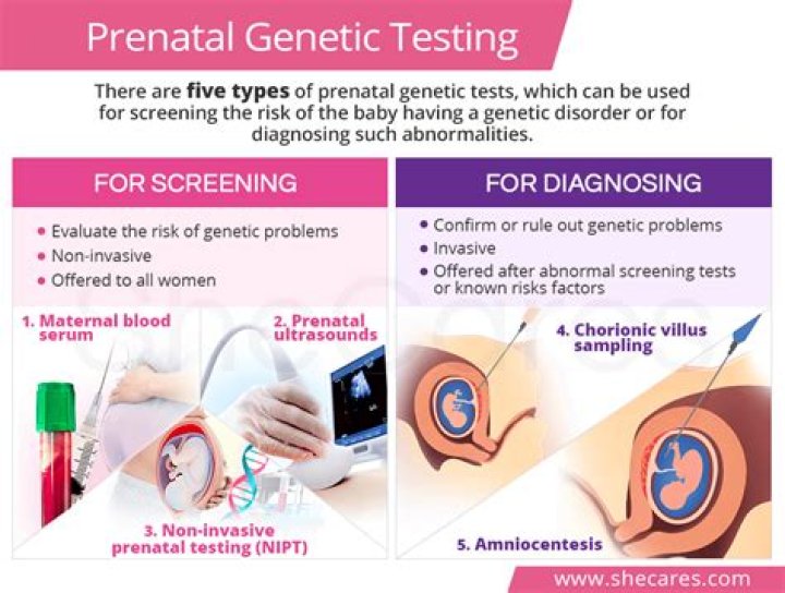 What is Prenatal Genetic Diagnosis?