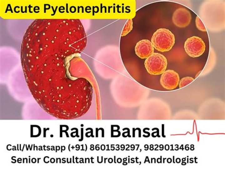 What is pyelonephritis acute?