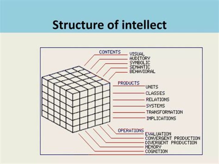 What is structure of intellect model?