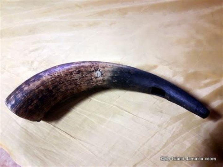 What is the Abeng used for?