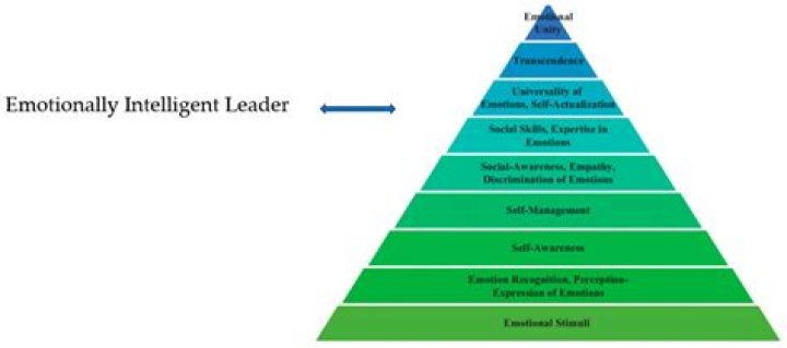 What is the hierarchical model of intelligence?