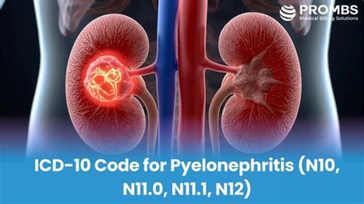 What is the ICD 10 code for pyelonephritis?
