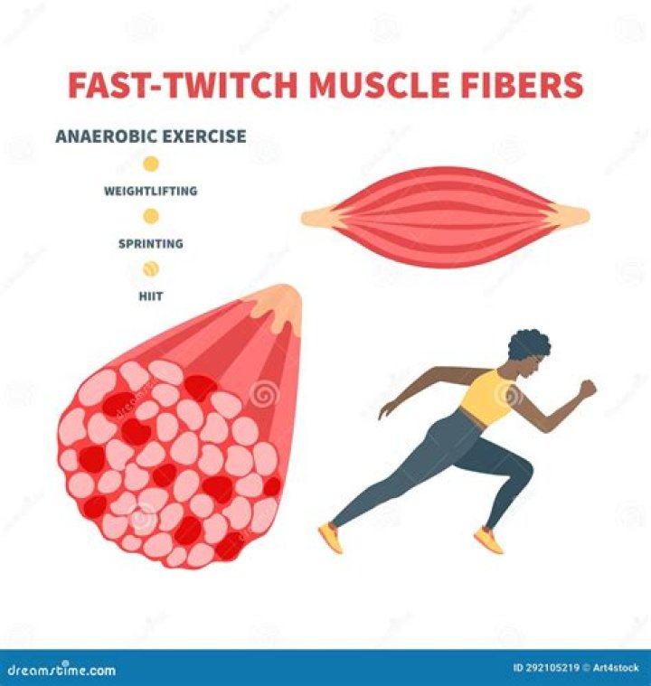What is the meaning of muscle twitch?