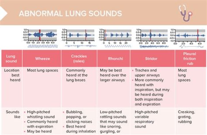 What is the medical term for deep snoring or rattling sounds that are associated with asthma?