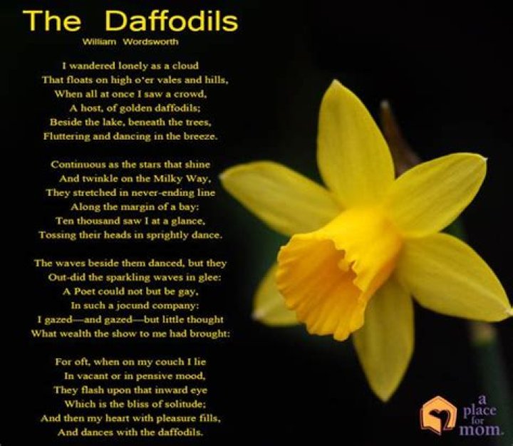 What kind of poem is daffodils?
