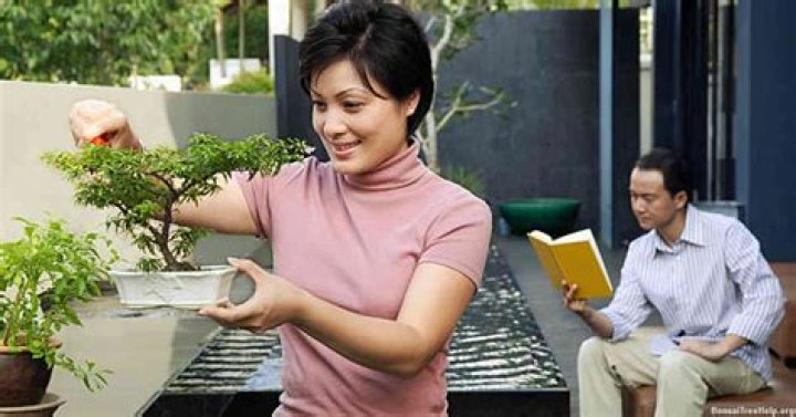 What makes a bonsai?