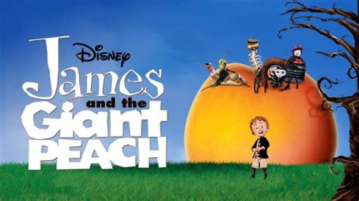 What point of view is James and the Giant Peach?