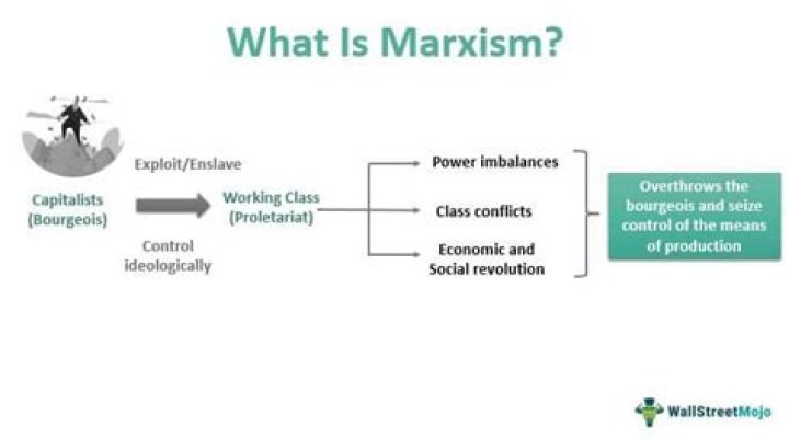 What problems did Karl Marx have with capitalism?