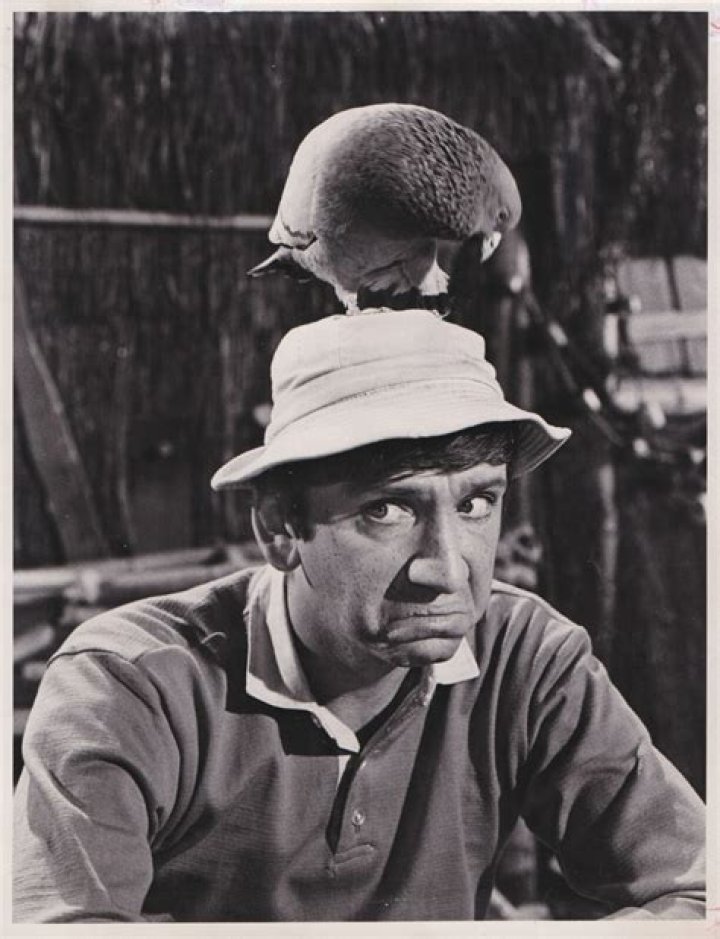 What was Bob Denver worth?