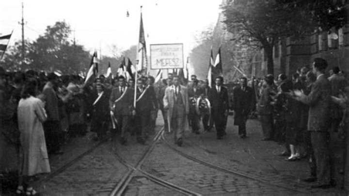 What were the demands of the Hungarian protests in 1956?