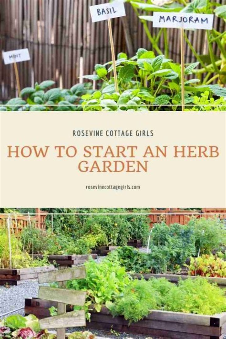 When should you start an herb garden?