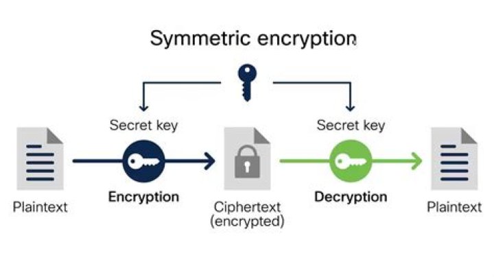 Which database component Encryption is most widely used?