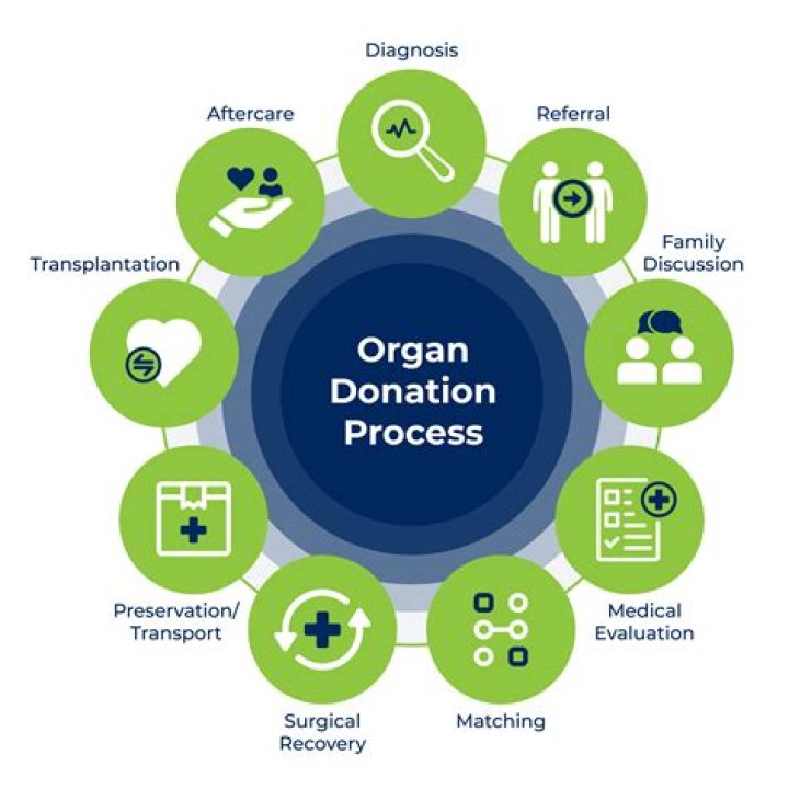 Which of the following is the most common form of organ donation?