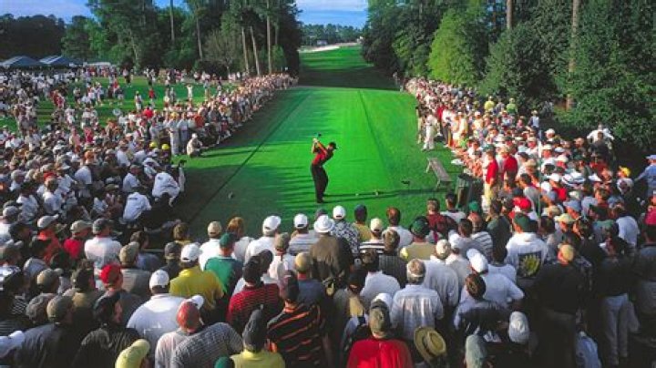 Will Treehouse Masters return in 2019?